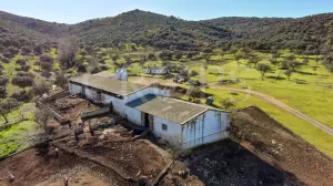 Finca agrícola y ganadera en Córdoba