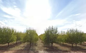 Vendo Finca de 123 Ha de Regadío en Teruel