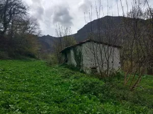 Se vende parcela y cabaña