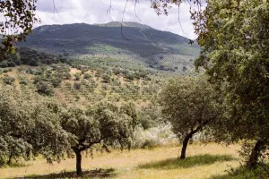 FINCA ECOLÓGICA