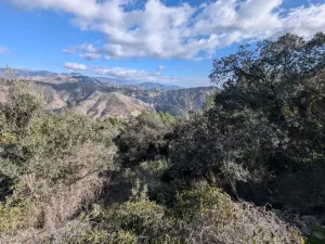 Finca rústica con olivos y buenas vistas