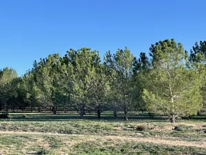 Finca y coto de caza con casona solariega