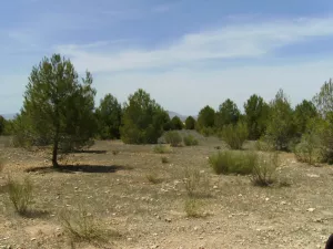 Finca rústica de 200 hectáreas Guadix/Fonelas