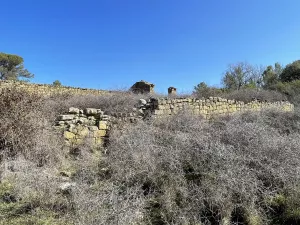 ¡Preciosa finca en la Carbonera!