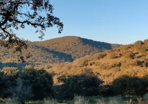 Finca La Reina