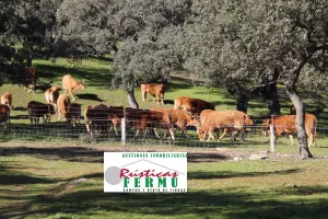 Finca ganadera Vva de Córdoba – Cardeña