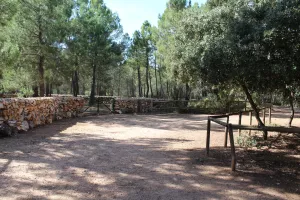 FINCA DE RECREO Y CAZA EN CUENCA - 1517