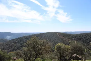 FINCA DE CAZA Y RECREO EN CORDOBA - 1487