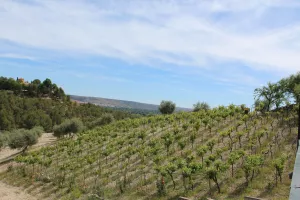 FINCA DE RECREO CERCA DE MADRID - 1500