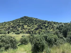 FINCA CINEGETICA EN JAEN - 1474