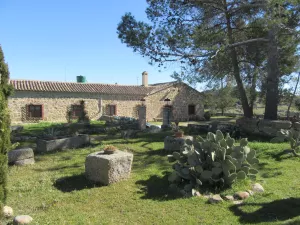 FINCA GANADERA EN TOLEDO