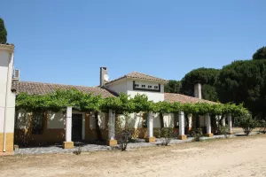 FINCA DE RECREO EN TOLEDO