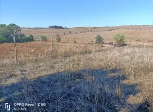 Parcela (Luz y Agua) en La Corchuela, Badajoz