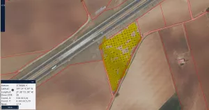 Parcela de olivos de secano de 13.831 m2