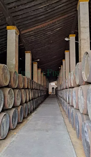 Bodega de vinos y brandy DO Jerez