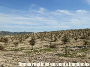 finca en venta 23 has. encina para trufa