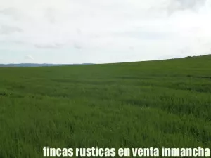 finca en venta 10 has. labor pastos recreo
