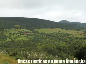 finca en venta 590 has. ganadera caza mayor