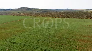 Finca agrícola de regadío en Málaga