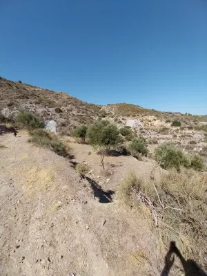 FINCA 50 HA. SIERRA DE LOS FILABRES.