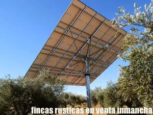 finca en venta 50 has. olivar viña riego