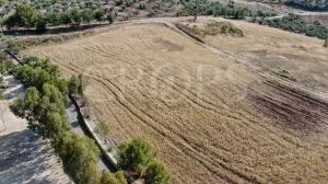 Finca agrícola en venta en Cádiz