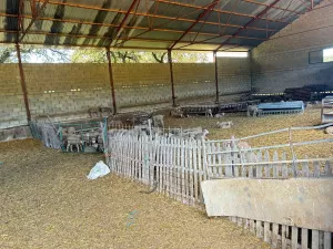 🌿 Finca en la Sierra Norte de Sevilla: 97 He