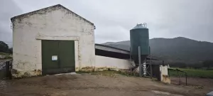 Finca Ganadera y Cinegética en Constantina