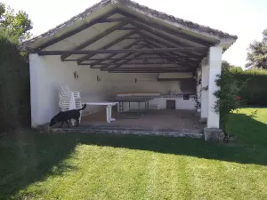 FINCA DE 250 HECTÁREAS