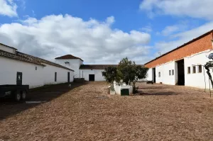 Finca de olivos, campos y cortijo en Jaén