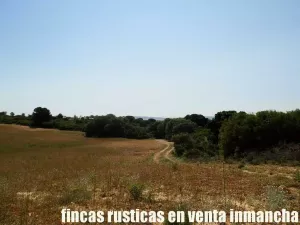 finca en venta 56 has. recreo caza menor