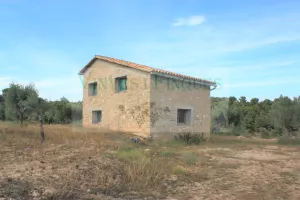 Finca de olivos con masías.