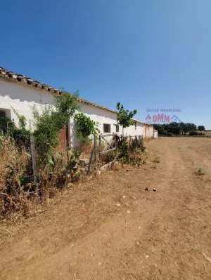 Finca de 343 Ha de tierra de labor y caza
