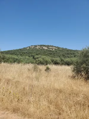 Finca de 100 Ha de Monte