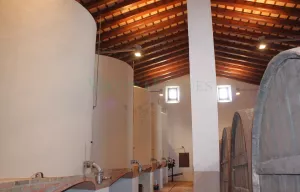 Finca de viñedo con masia noble en Penedès.