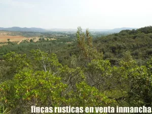 venta 570 has. caza mayor en Ciudad Real