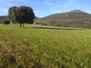 Finca rústica agrícola, ganadera y cinegética