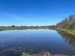 FINCA GANADERA , AGRICOLA Y CINEGETICA