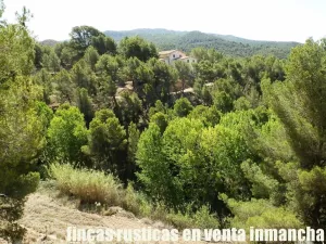 finca en venta 60 has. recreo Alicante