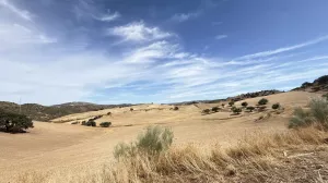 CASA CORTIJO FINCA RÚSTICA DE 756 ha