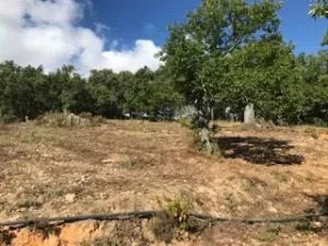 FINCA EN VENTA EN SIERRA DE ARACENA Y PICOS