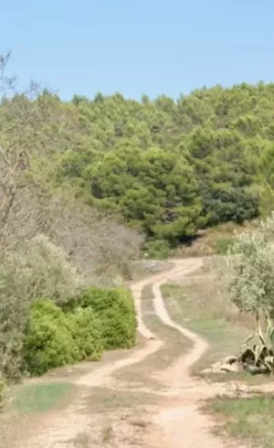 EN VENTA FINCA RÚSTICA