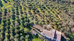 Finca agrícola y ganadera en Córdoba