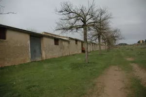 FINCA RUSTICA, SECANO Y CASAS CUEVA