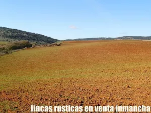 finca en venta 118 has. ciudad real