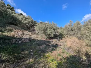 Finca rústica con olivos y buenas vistas