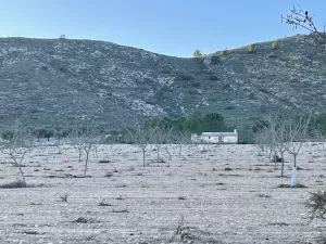 Finca y coto de caza con casona solariega