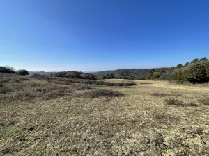 ¡Preciosa finca en la Carbonera!