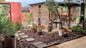 Finca con vivienda a menos de 1 h. de Madrid