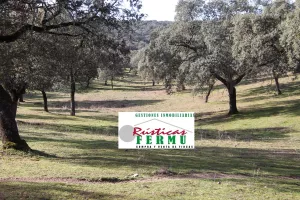 Finca ganadera Vva de Córdoba – Cardeña